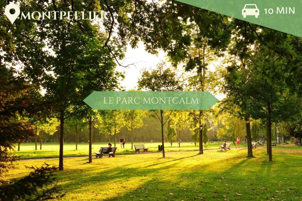 041 - Studio Le Chateau D'O, Appart 4Pers, Parking, Proche Faculte De Medecine Монпелье Экстерьер фото