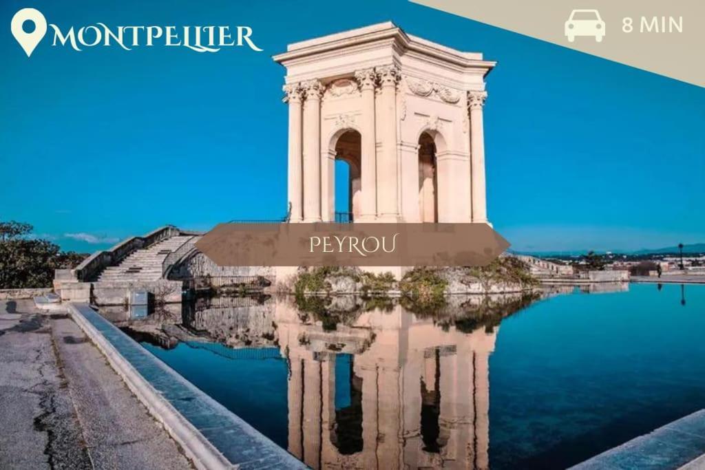 041 - Studio Le Chateau D'O, Appart 4Pers, Parking, Proche Faculte De Medecine Монпелье Экстерьер фото