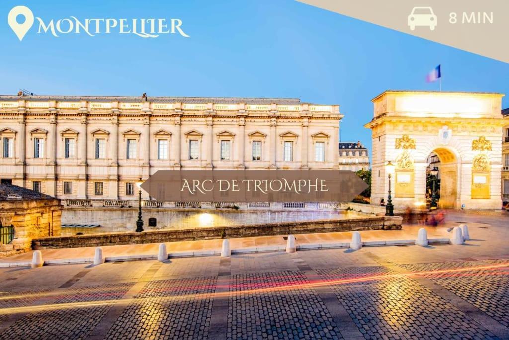 041 - Studio Le Chateau D'O, Appart 4Pers, Parking, Proche Faculte De Medecine Монпелье Экстерьер фото